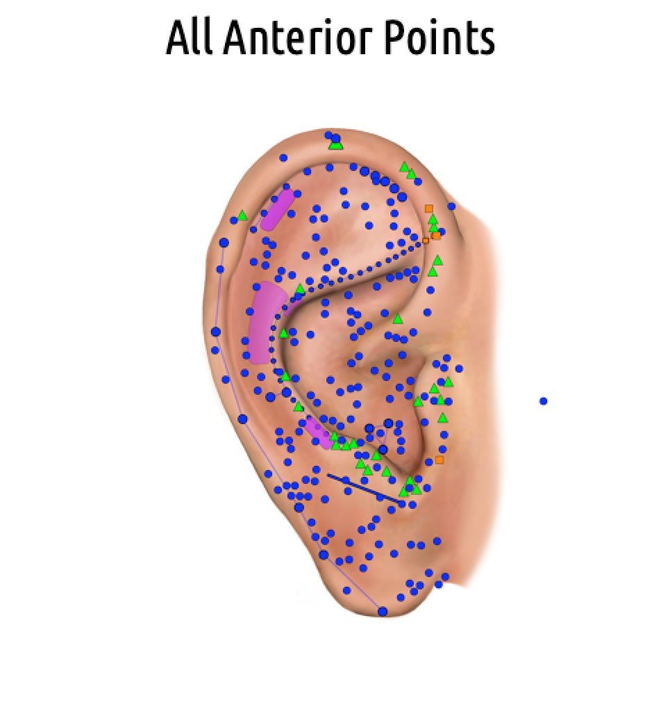 Auricular Acupuncture in London | The Acupuncturists
