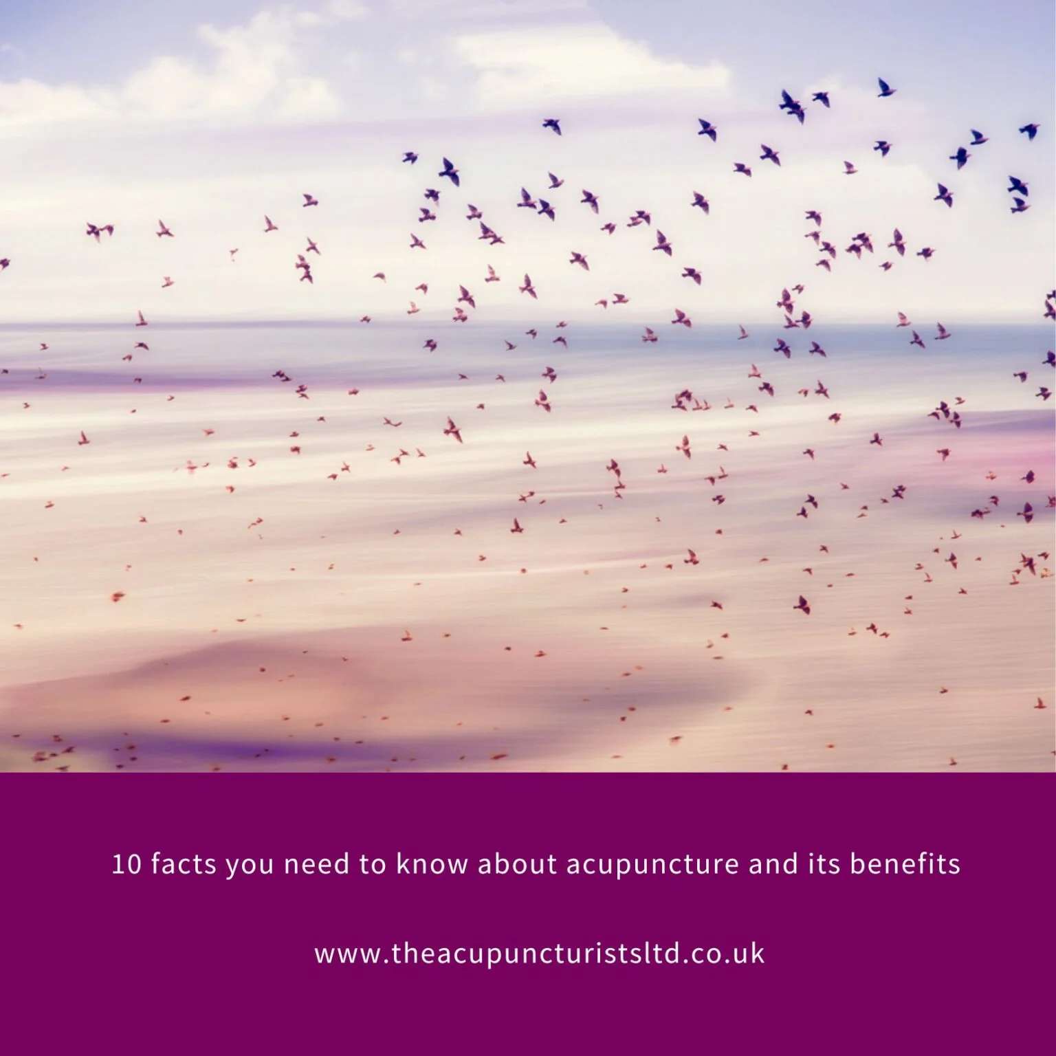 10 facts you need to know about acupuncture